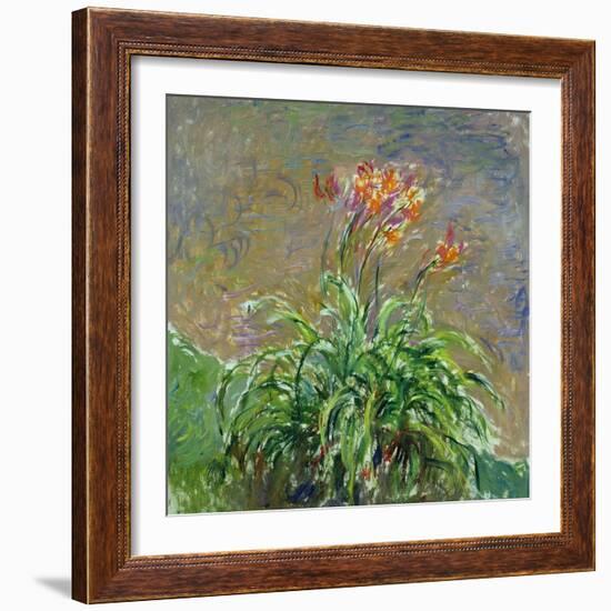 Hemerocallis, 1914-17-Claude Monet-Framed Giclee Print