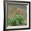 Hemerocallis, 1914-17-Claude Monet-Framed Giclee Print