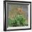 Hemerocallis, 1914-17-Claude Monet-Framed Giclee Print