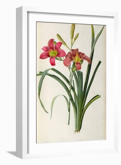 Hemerocallis Fulva, from Les Liliacees-Pierre-Joseph Redouté-Framed Giclee Print