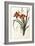 Hemerocallis Fulva - Hemerocalle Fauve-Pierre-Joseph Redouté-Framed Giclee Print