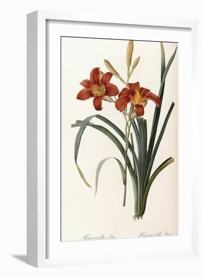 Hemerocallis Fulva - Hemerocalle Fauve-Pierre-Joseph Redouté-Framed Giclee Print