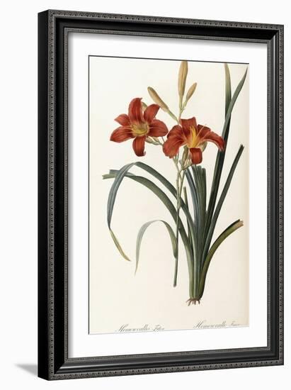 Hemerocallis Fulva - Hemerocalle Fauve-Pierre-Joseph Redouté-Framed Giclee Print