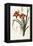 Hemerocallis Fulva - Hemerocalle Fauve-Pierre-Joseph Redouté-Framed Premier Image Canvas