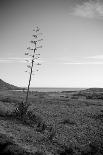 Secluded Beach-Hemeroskopion-Photographic Print