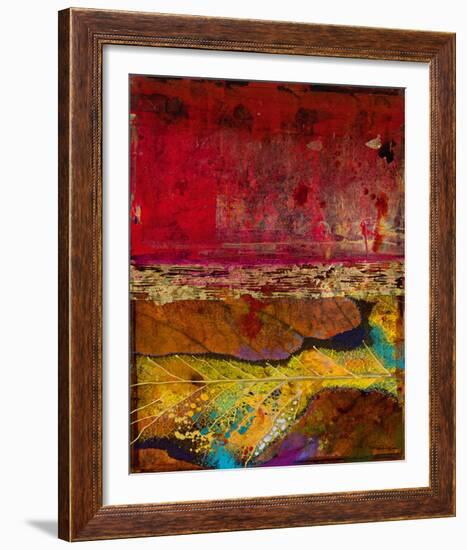 Hemisphere V-Douglas-Framed Giclee Print