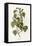 Hemlock Warbler-null-Framed Premier Image Canvas