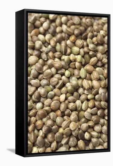 Hemp Seeds-Jon Stokes-Framed Premier Image Canvas