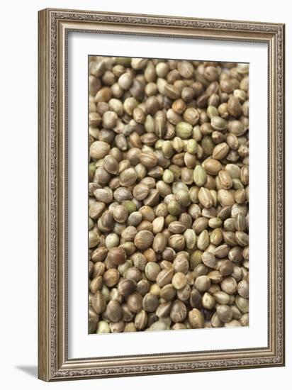 Hemp Seeds-Jon Stokes-Framed Photographic Print