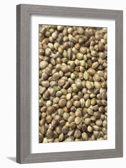 Hemp Seeds-Jon Stokes-Framed Photographic Print