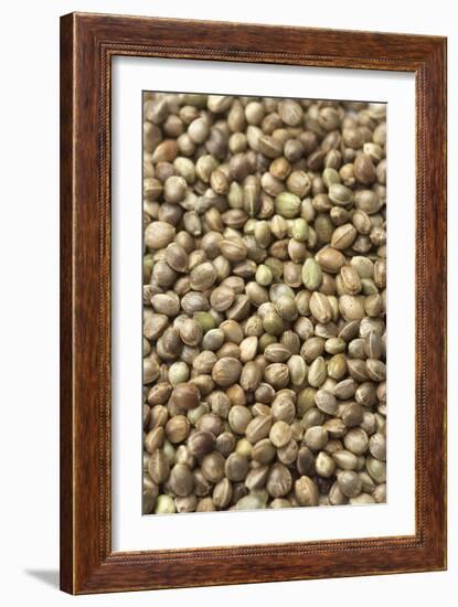 Hemp Seeds-Jon Stokes-Framed Photographic Print