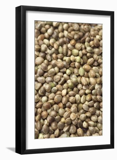Hemp Seeds-Jon Stokes-Framed Photographic Print