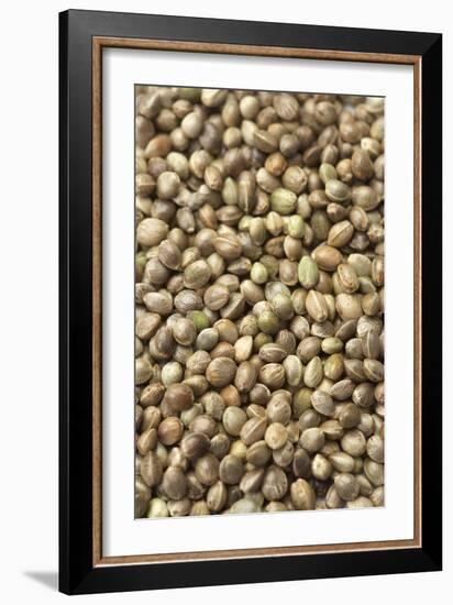 Hemp Seeds-Jon Stokes-Framed Photographic Print