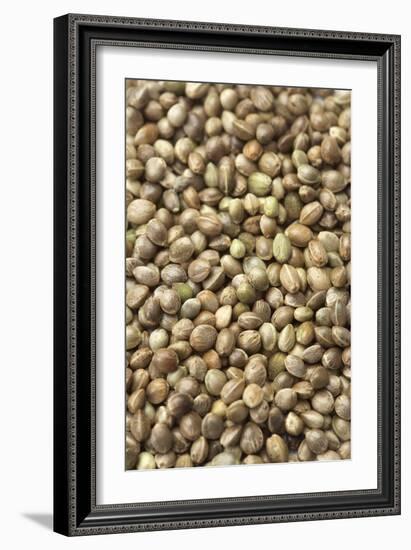 Hemp Seeds-Jon Stokes-Framed Photographic Print