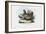 Hen, 1863-79-Raimundo Petraroja-Framed Giclee Print