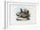 Hen, 1863-79-Raimundo Petraroja-Framed Giclee Print