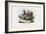 Hen, 1863-79-Raimundo Petraroja-Framed Giclee Print