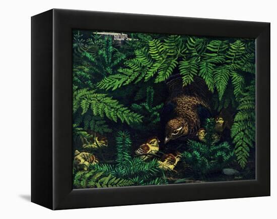 Hen and Chicks-Stan Galli-Framed Premier Image Canvas