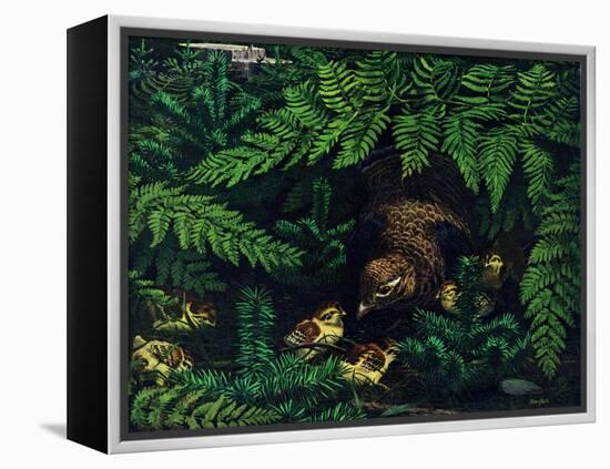 Hen and Chicks-Stan Galli-Framed Premier Image Canvas