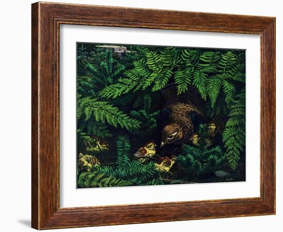 Hen and Chicks-Stan Galli-Framed Giclee Print