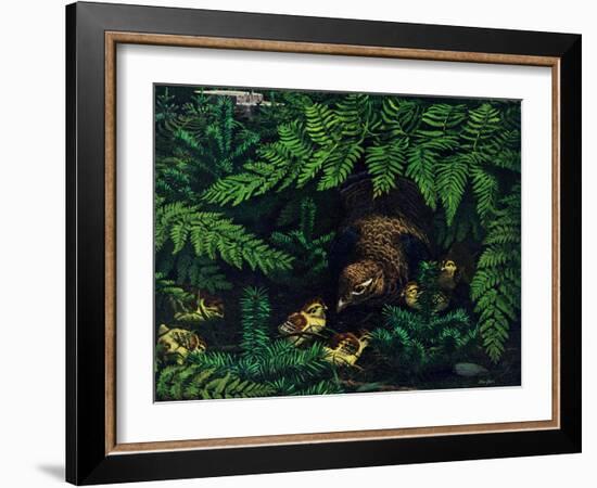 Hen and Chicks-Stan Galli-Framed Giclee Print