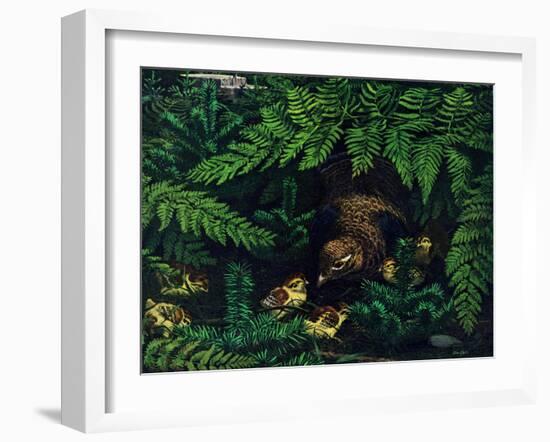 Hen and Chicks-Stan Galli-Framed Giclee Print