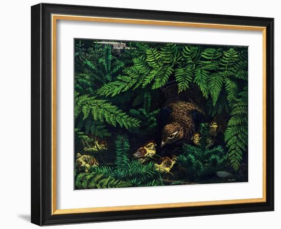 Hen and Chicks-Stan Galli-Framed Giclee Print