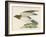 Hen Harrier-Reverend Francis O. Morris-Framed Art Print