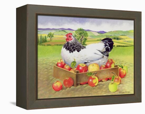 Hen in a Box of Apples, 1990-E.B. Watts-Framed Premier Image Canvas