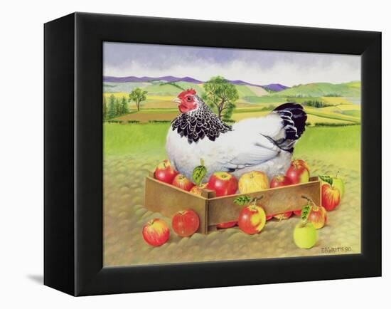 Hen in a Box of Apples, 1990-E.B. Watts-Framed Premier Image Canvas