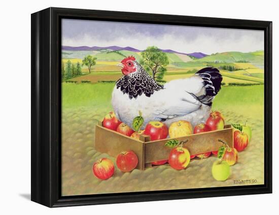 Hen in a Box of Apples, 1990-E.B. Watts-Framed Premier Image Canvas