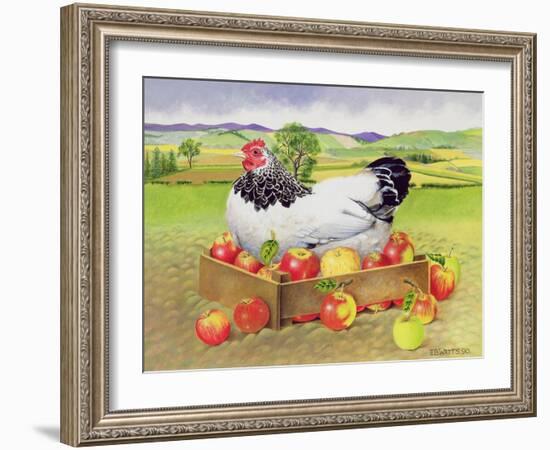 Hen in a Box of Apples, 1990-E.B. Watts-Framed Giclee Print