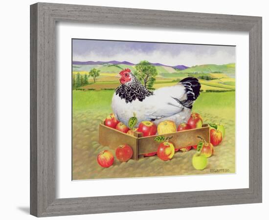 Hen in a Box of Apples, 1990-E.B. Watts-Framed Giclee Print