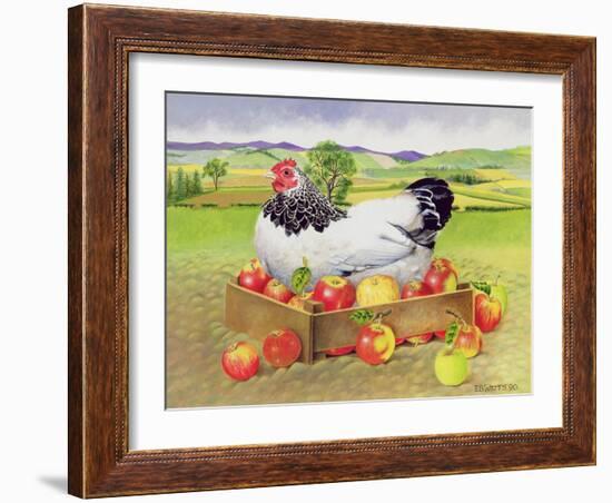 Hen in a Box of Apples, 1990-E.B. Watts-Framed Giclee Print