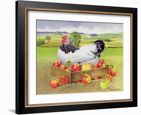 Hen in a Box of Apples, 1990-E.B. Watts-Framed Giclee Print