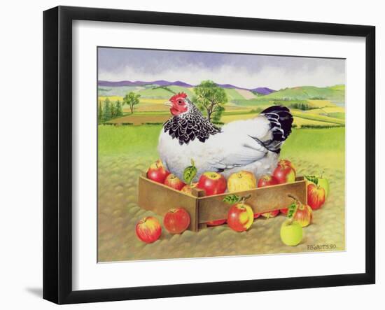 Hen in a Box of Apples, 1990-E.B. Watts-Framed Giclee Print