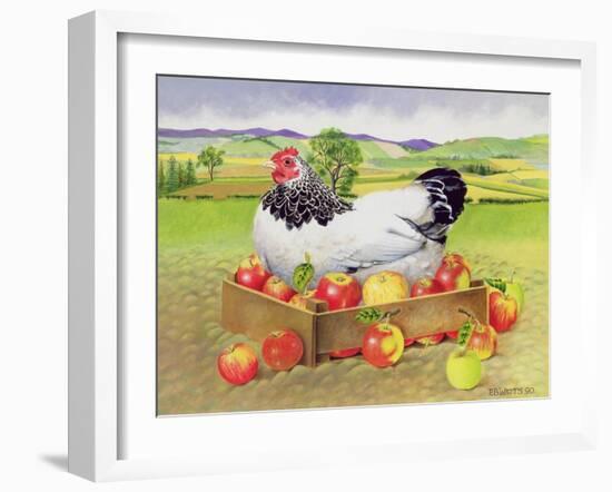 Hen in a Box of Apples, 1990-E.B. Watts-Framed Giclee Print