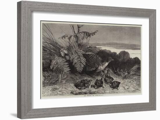 Hen Pheasant and Young-Harrison William Weir-Framed Giclee Print