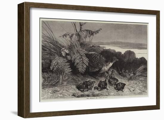 Hen Pheasant and Young-Harrison William Weir-Framed Giclee Print