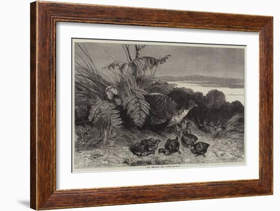 Hen Pheasant and Young-Harrison William Weir-Framed Giclee Print