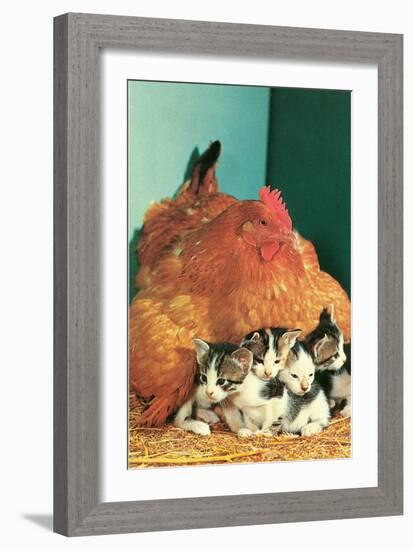 Hen Sitting on Kittens-null-Framed Premium Giclee Print