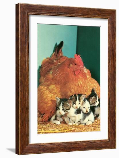 Hen Sitting on Kittens-null-Framed Premium Giclee Print