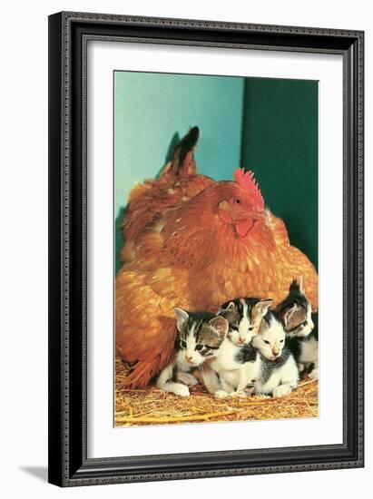 Hen Sitting on Kittens-null-Framed Premium Giclee Print