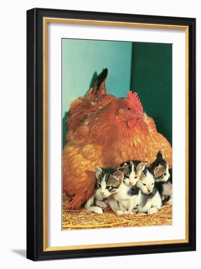 Hen Sitting on Kittens-null-Framed Premium Giclee Print