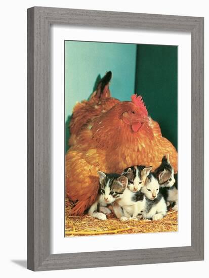 Hen Sitting on Kittens-null-Framed Art Print