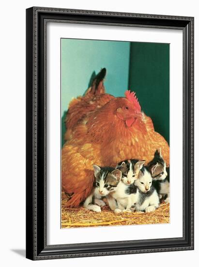 Hen Sitting on Kittens-null-Framed Art Print