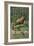 Hen with Chicks-August Muller-Framed Art Print