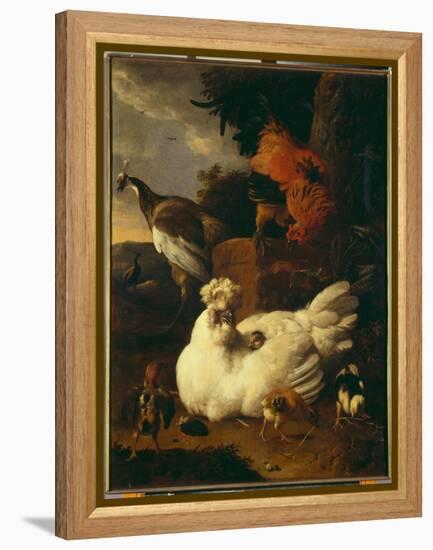 Hen with Chicks-Melchior de Hondecoeter-Framed Premier Image Canvas