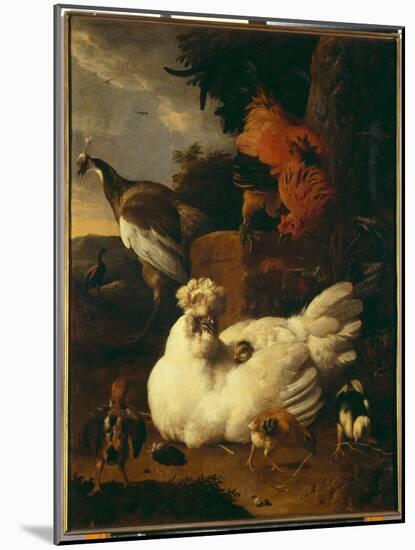 Hen with Chicks-Melchior de Hondecoeter-Mounted Giclee Print