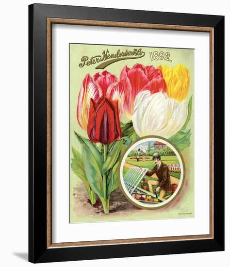 Henderson 1892 Tulips-null-Framed Art Print